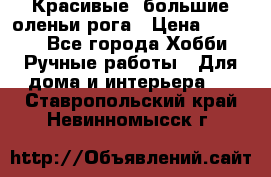 Красивые  большие оленьи рога › Цена ­ 3 000 - Все города Хобби. Ручные работы » Для дома и интерьера   . Ставропольский край,Невинномысск г.